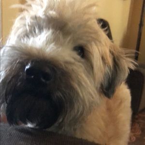 Meet your Posher, Kegan